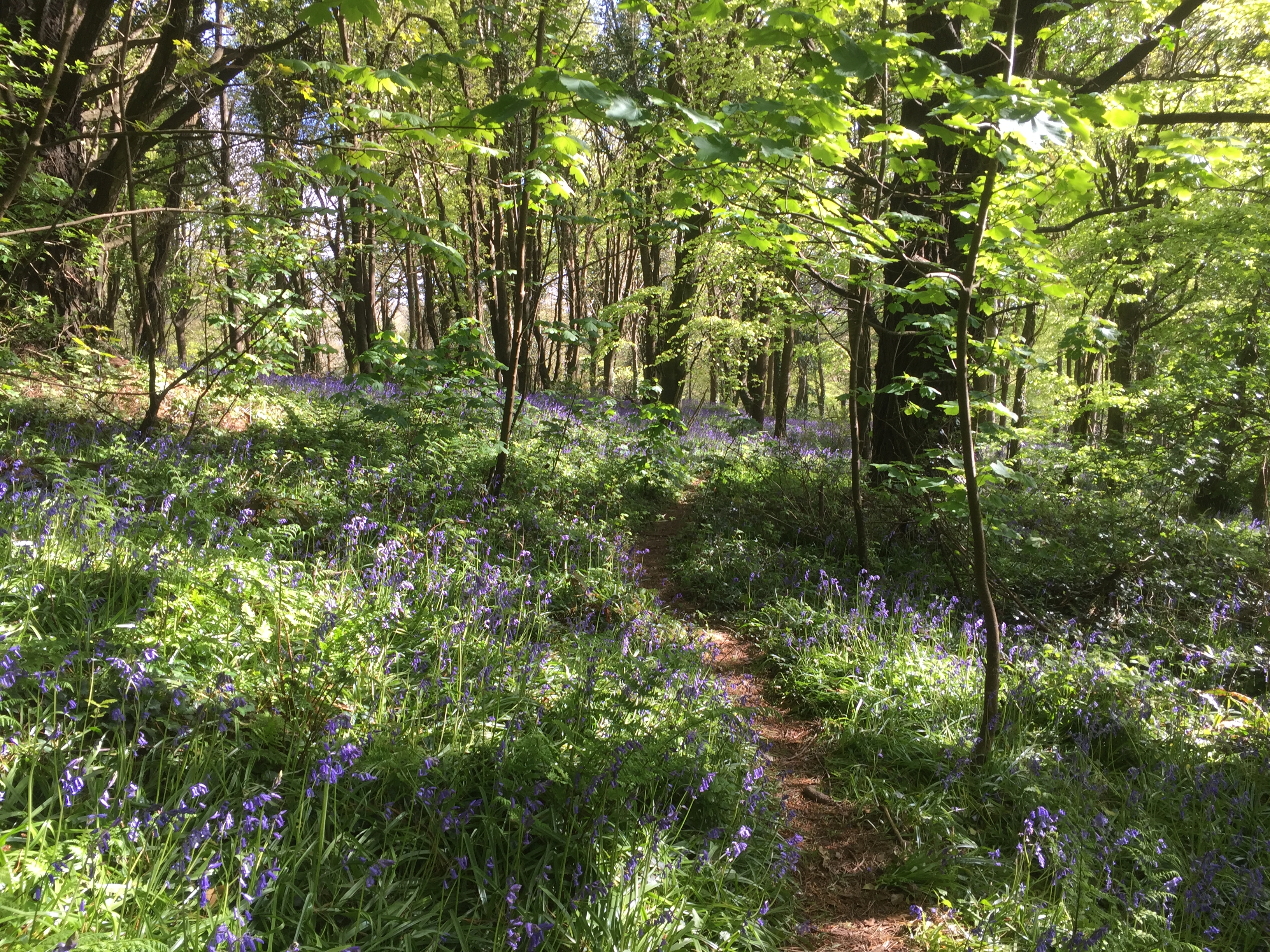 590DFB7D-9D53-4F17-A03E-C985FB1CC11C